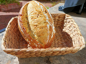 Sour Dough Loaf