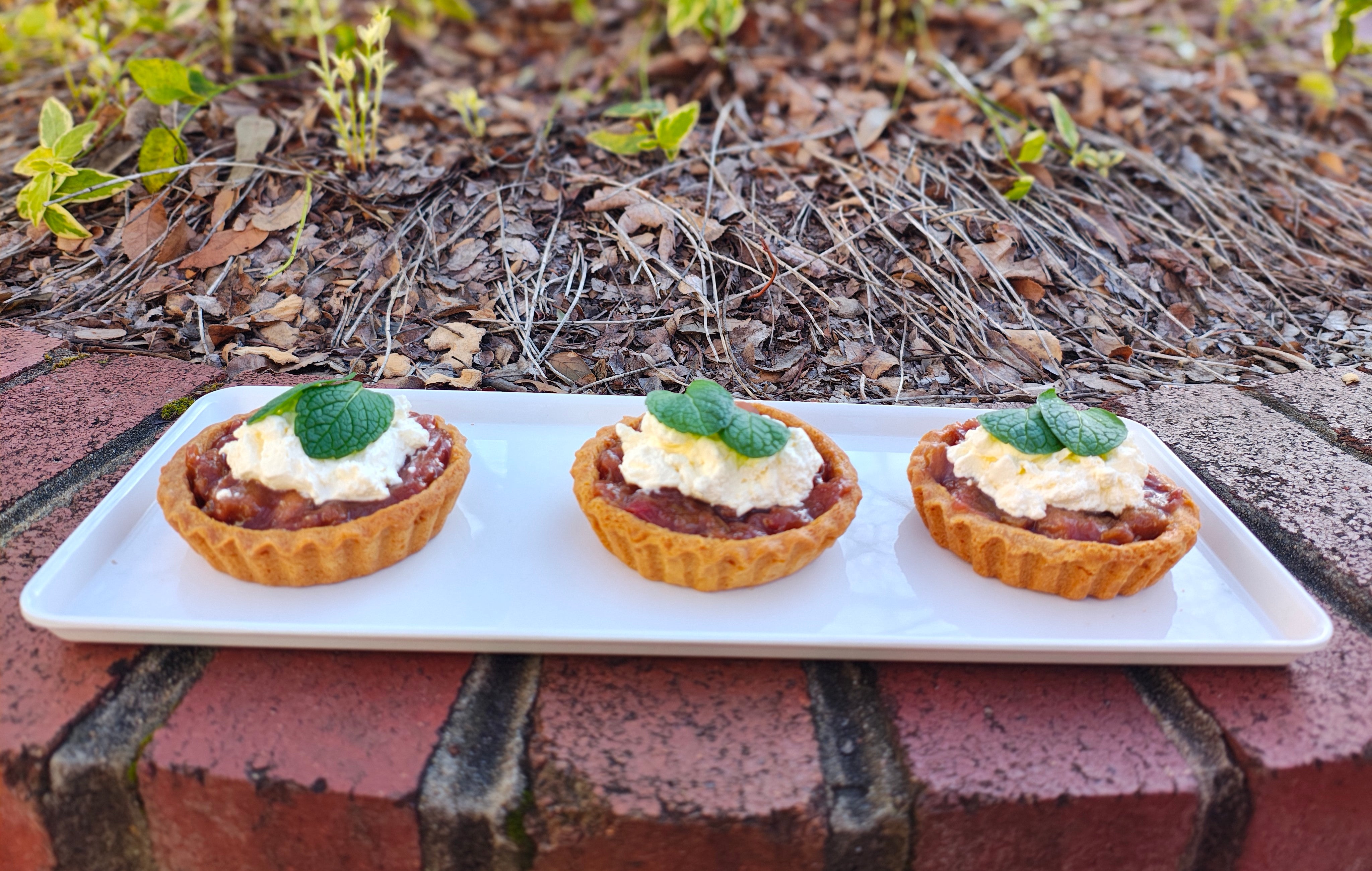 Tartlets